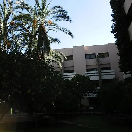 Hotel Amine-2